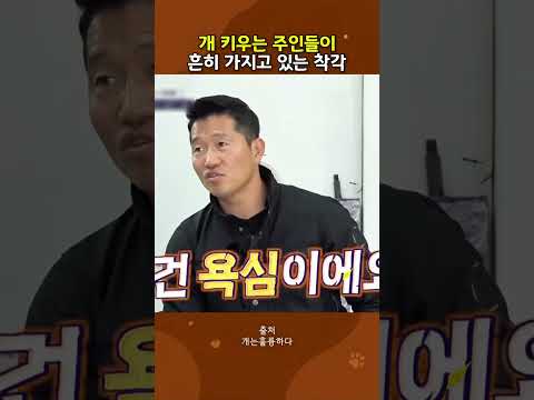 견주들이 흔히 하는 착각 thumbnail