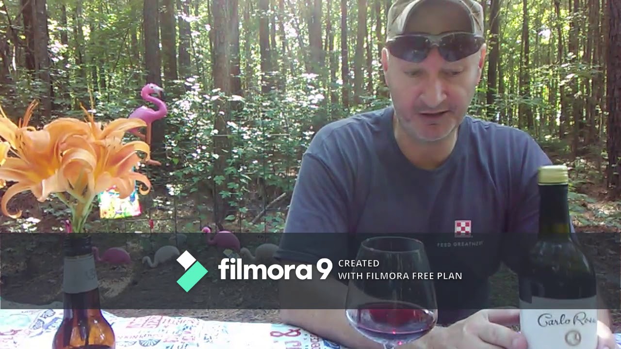 Carlo Rossi Smooth Red Review | Wine Review 🍷