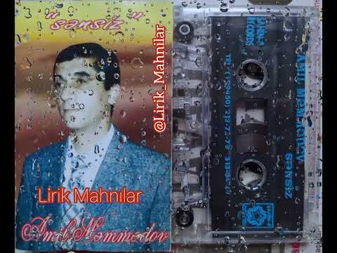 Amil Məmmədov - Sənsiz