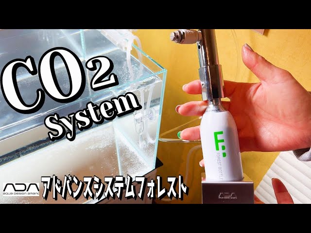 アクアリウム】二酸化炭素システムを設置していく（水草成長のために