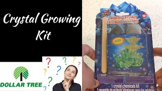 Dollar Store | Crystal Growing Kit | Does Crystal form as Displayed in picture 