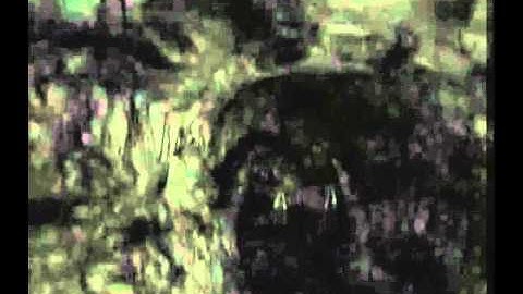 [ Fatal Frame 2 cutscene ] : Chapter 8 - The Escape - HD