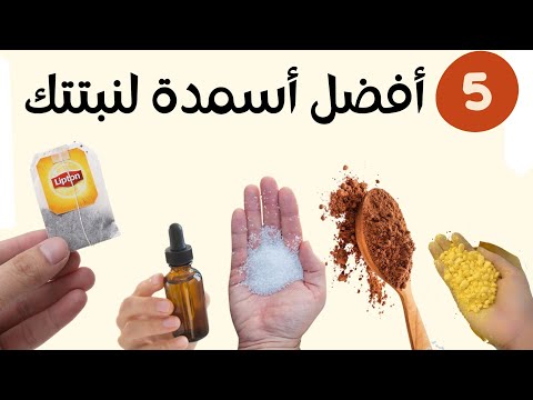 5 اقوى اسمدة طبيعية منزلية لتقوية النباتات و تغذيتها و تسريع نموها و تزهيرها