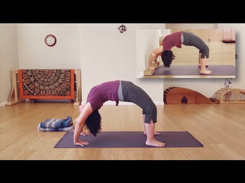 Fig Garden Yoga Level 1 2 Back Bends Youtube