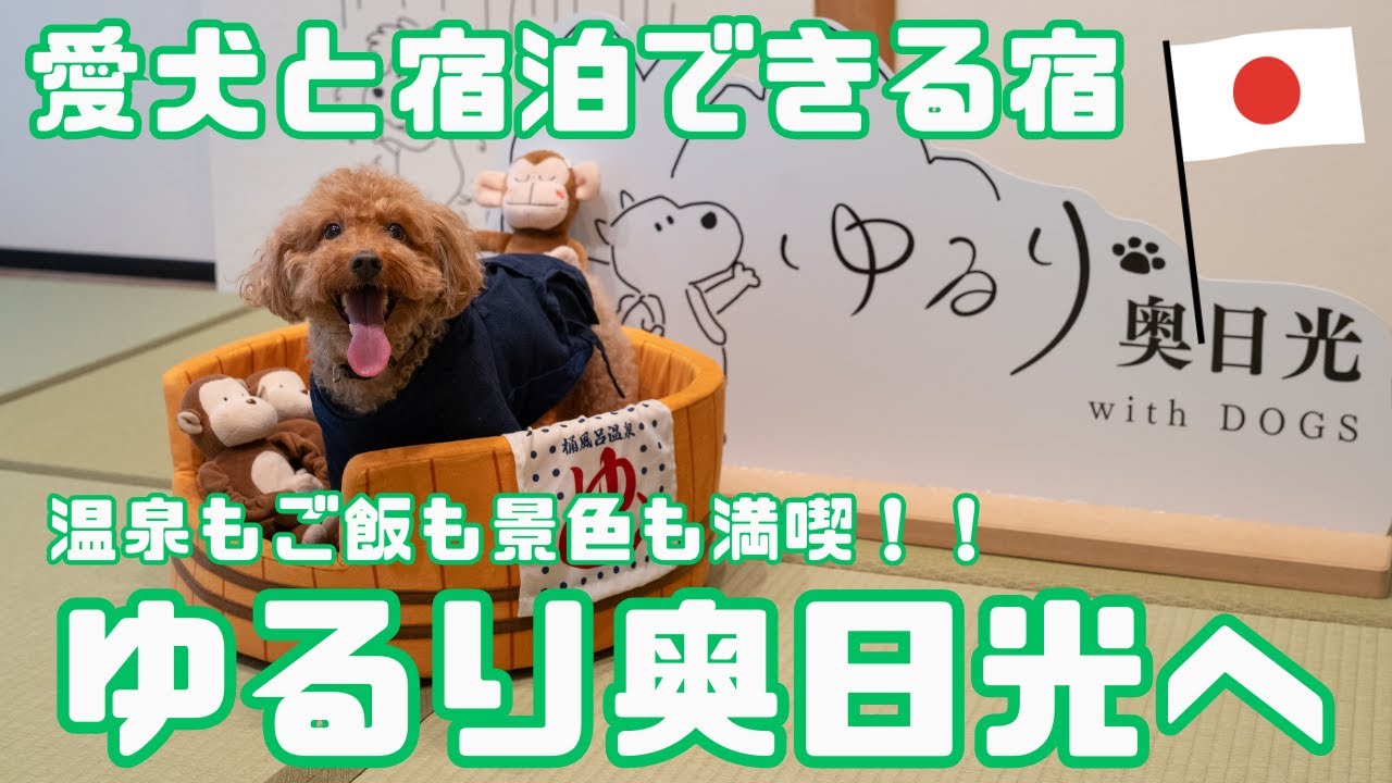 【日光で犬と一緒に泊まれるホテル】温泉もご飯も景色も満喫!! 2025年にオープンした「ゆるり奥日光 with DOGS」へ行ってみた🐶