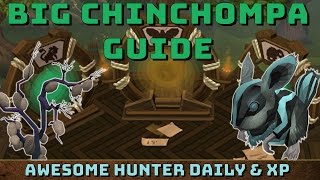 Big Chinchompa Guide [Runescape 3] Easy Hunter Xp! Daily D&D!