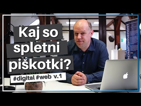 Video: Kaj So Prevajalci