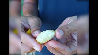 Biết Sớm Đã Đỡ Tốn Bao Nhiêu Tiền Mồi screenshot 2