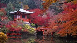 Chris Forten - JAPAN