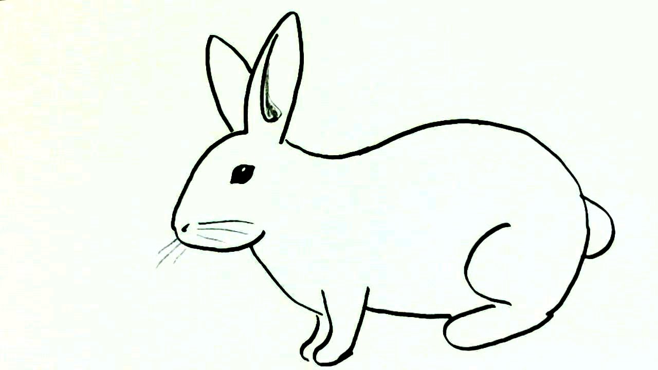 Featured image of post Art Rabbit Drawing For Kids - Download and use them in your website, document or presentation.