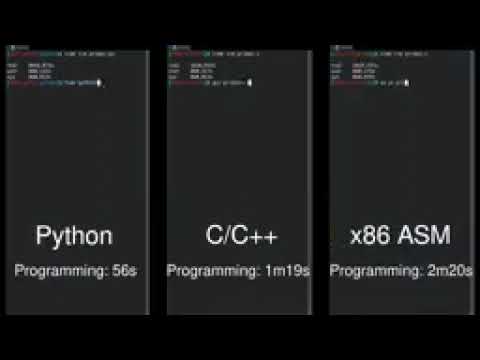 Python Vs C/C++ Vs Assembly side-by-side comparison
