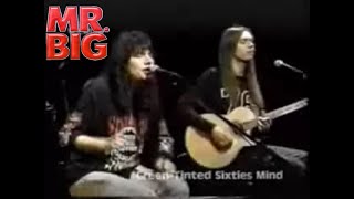 Mr. Big - "Green Tinted Sixties Minds" (Acoustic Live)