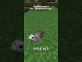 КРУТЫЕ ХОРЬКИ ПОЯВЯТСЯ С ЭТИМ МОДОМ в #майнкрафт | Fancy Ferrets!