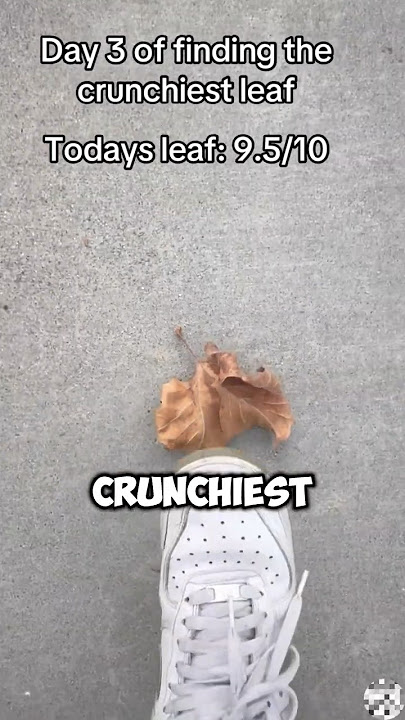 He Finally Found the Crunchiest Leaf Ever 😱