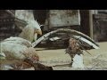 ライトニングリターンズ FF13 - シナリオ 動画 Part 10 ウィルダネス (ヴァルハラの天使①)