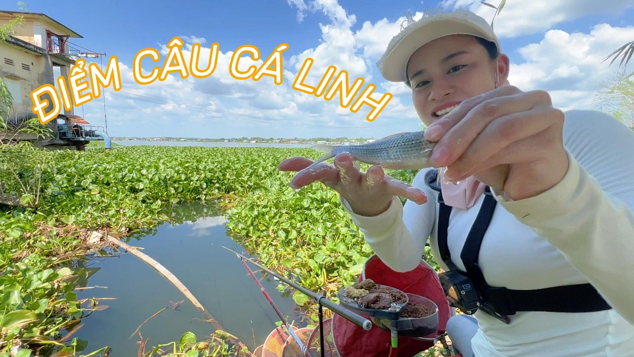 Điểm Câu Cá Tự Nhiên , Điểm Câu Nhiều Cá Linh Gần Cầu La Ngà