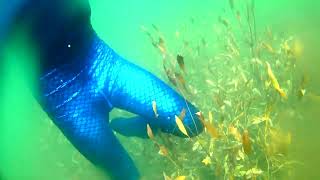Underwater zentai 2, free diving snorkeling boy merman merboy scales morphsuit, potápění pod vodou