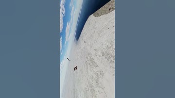 When the F-14 Tomcat has killed you way too many times! Vendetta