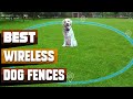 Best Wireless Dog Fence In 2021 - Top 10 Wireless Dog Fences Review