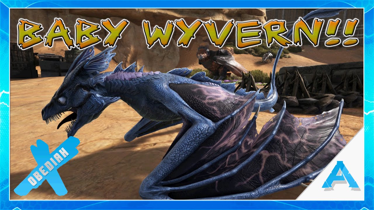 Ark Scorched Earth EP5 BABY WYVERN YouTube Ark Scorched Earth EP5 BABY WYVERN YouTube