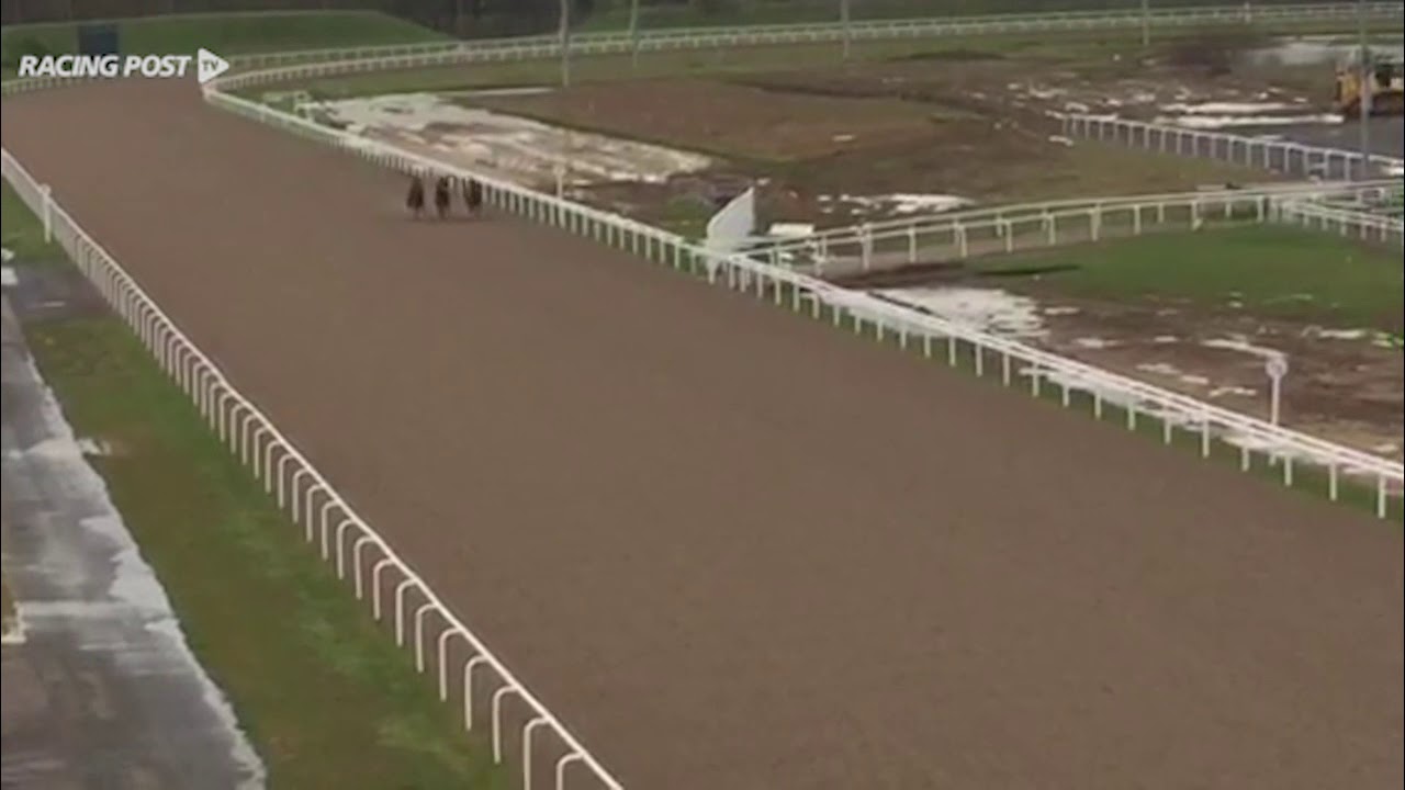 horseshoe bend On the gallops