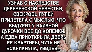 картинка: УЗНАВ О НАСЛЕДСТВЕ НЕВЕСТКИ, СВЕКРОВЬ ПУЛЕЙ ПРИЛЕТЕЛА С МЫСЛЬЮ, ЧТО ВЫДУРИТ У НАИВНОЙ ДУРОЧКИ В