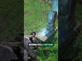 Why Is Crimson Desert So Different From Other Games?