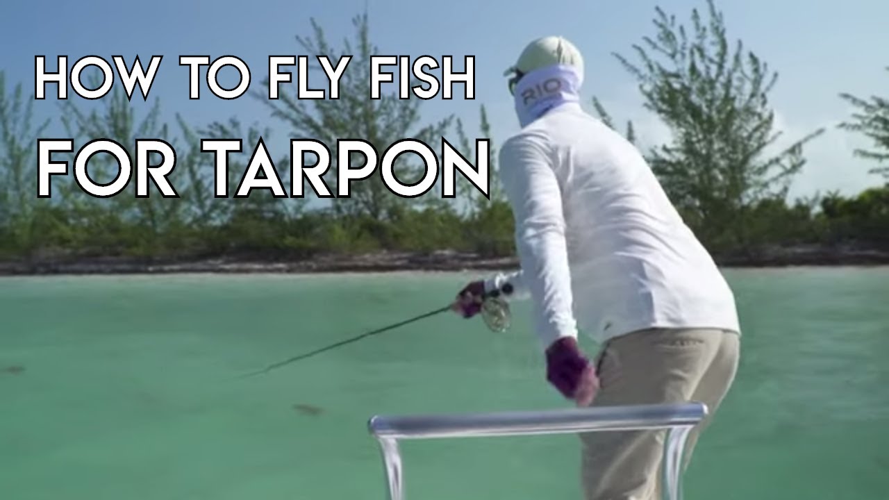 How To Fly Fish For Tarpon