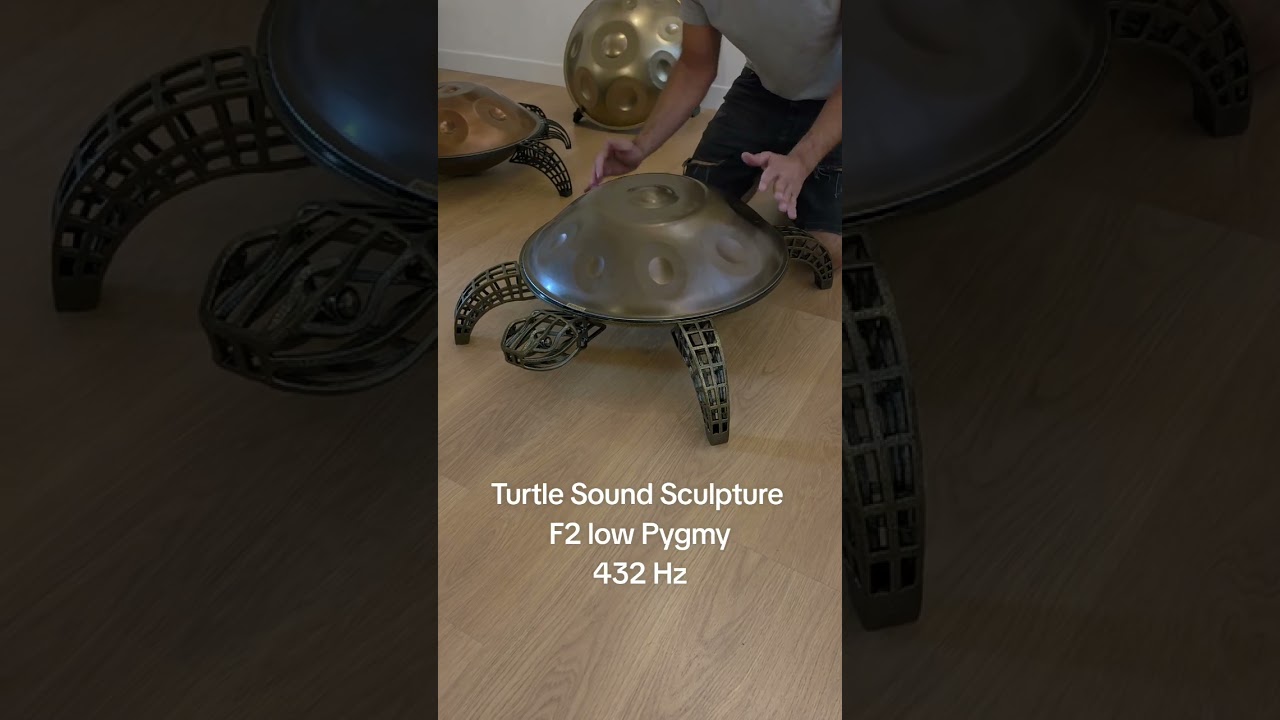F2 low pygmy turtle sound sculpture at 432 Hz