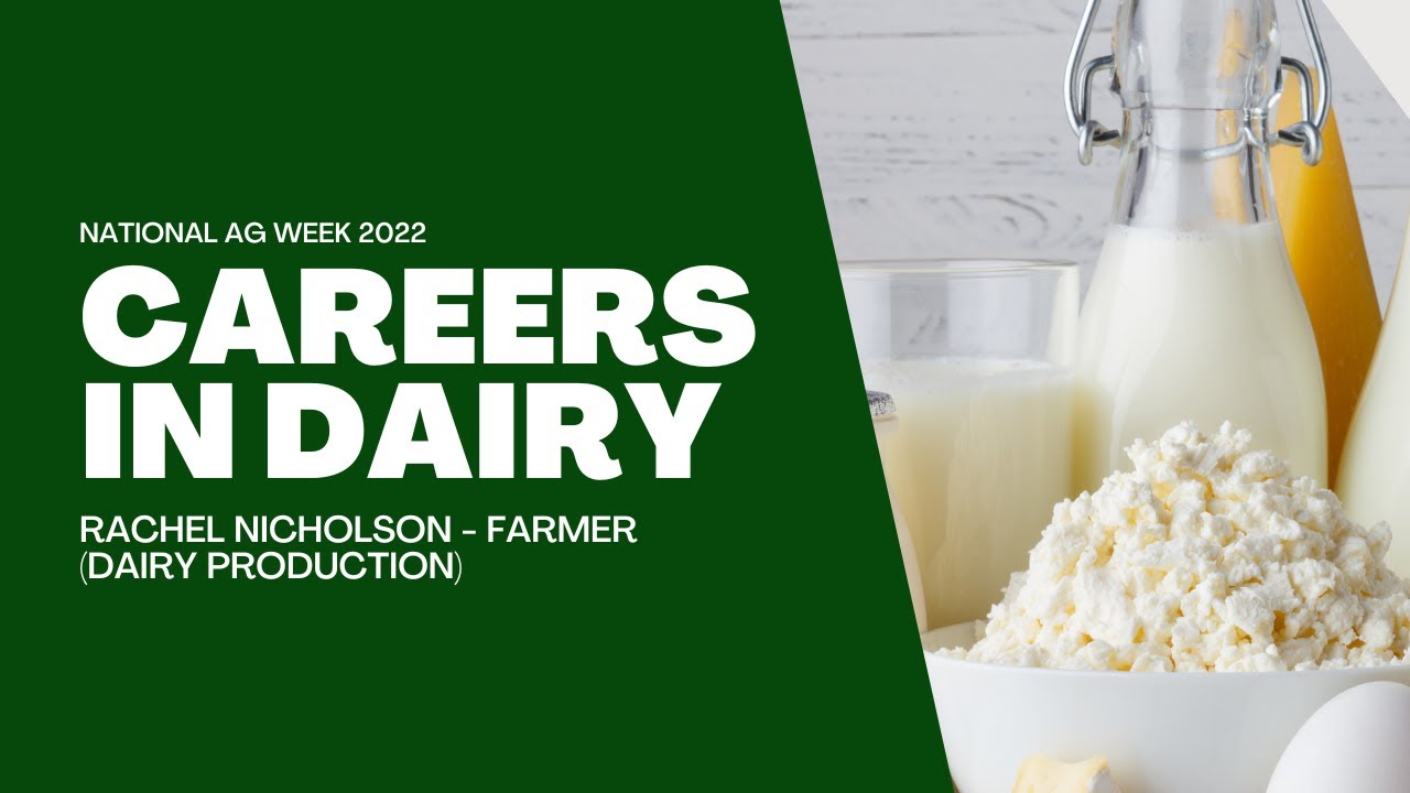 Rachel Nicholson - Dairy Farm Owner (Dairy Production)