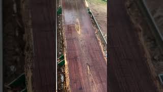 Walnut is on the deck of the Hm122 today. My favorite #sawmill #hm122 #homestead #wildwayadventures