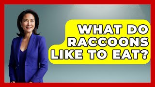 Celebrity What Do Raccoons Like To Eat? - The Wild Life Explorer Net Worth