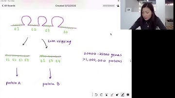 IB Biology Unit 7.2 (HL) - Splicing and Alternative splicing