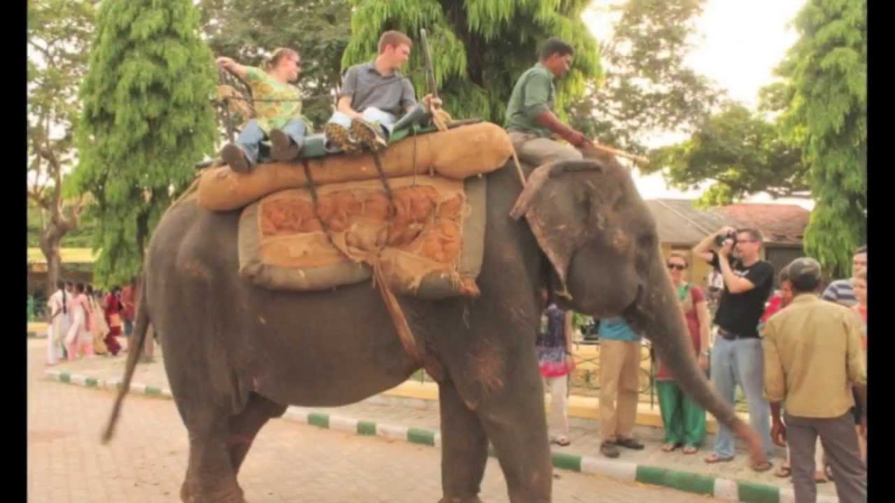 South Asia Photoflash - for  2013 Team