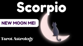 Scorpio Special New Moon Mei 💫 Memulai langkah menuju koneksi serius