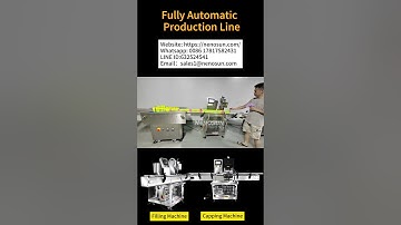 Nenosun fully automatic filling and capping machine