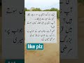 ایک بزرگ زمین پر سو رہے تھے