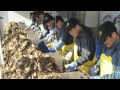 JapanNews04_13_2013