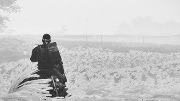 Ghost Of Tsushima Part 5『ゴースト・オブ・ツシマ』