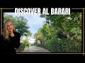 Drive through al barari