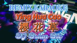Remix Karaoke FEMALE || Ying Hua Cao - 樱花草 || No Vocal 伴奏版 || By Dj Brian Bie