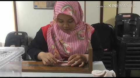 Fish tagging using PIT tag - yaya