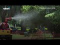 Invasión de mosquitos: pueden transmitir Encefalitis Equina y su reducción podría demorar 10 días
