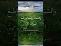 Surah Rehman ❤️ Dil ko sukoon dene wali tilawat | #Shorts #noorquran