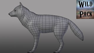 Modelling the Wolf Part 2
