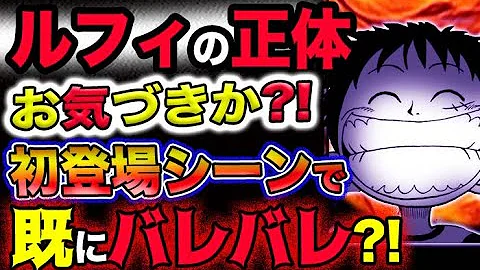 ワンピース ネタバレ 漫画