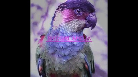 Youtube Intro 2018 HAPPY NEW YEAR!!!!!😚😚😚