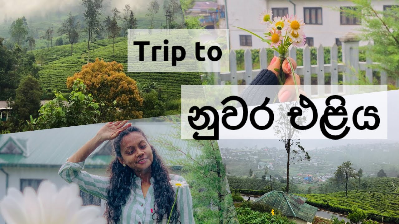 නුවර එළියෙ දවස් දෙකක් | ලංකාවේ උසම දුම්රිය ස්ථානය  | Haputhale | Nuwara Eliya | Pattipola | Ella ✨
