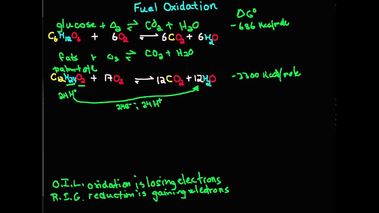 2 Fuel Oxidation YouTube