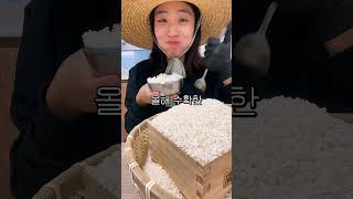 24년 햅쌀 5kg 1만원대!!! #쌀 #맛있는쌀 #쌀10kg #쌀5kg #쌀밥